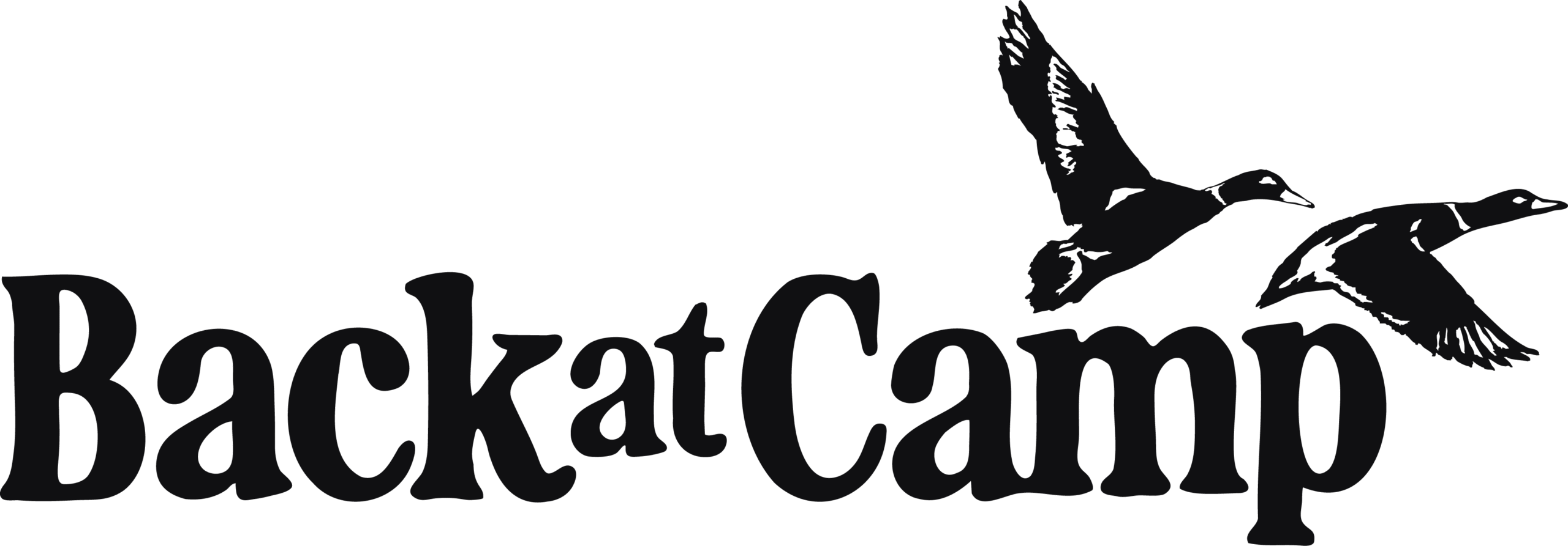 BaC_Logo_Dev